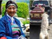 Perro conmueve a miles al perseguir el ataúd de su dueña que falleció por COVID-19