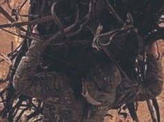 Soldado ayuda a humilde anciana a cargar leña en Huamachuco