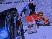 Un perro se aferra a su dueño para suplicarle que no lo abandone: la escena desata indignación en redes sociales