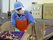 Se viene la segunda etapa de Reactiva Perú por S/ 30,000 millones adicionales