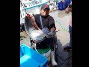 Pescador de 40 años estudia la primaria por Aprendo en Casa, porque sueña con ser ingeniero Pescador de 40 años estudia la primaria por Aprendo en Casa, porque sueña con ser ingeniero