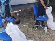 Arequipa: personal médico se asfixia por falta de ventilación en el Módulo de Atención COVID-19
