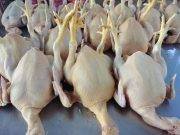 Reactivación de restaurantes ha impactado en el incremento del precio del pollo
