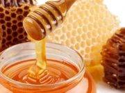Miel de abeja: cinco beneficios de consumir este alimento ancestral para la salud