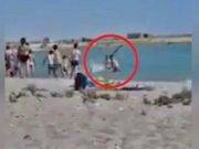 Video: Apalean foca hasta dejarla moribunda para tomarse fotos con ella