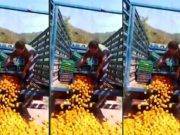 Agricultores arrojan naranjas mandarinas en la carretera de Chanchamayo