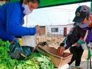 Productores abastecieron de alimentos a más de 5 mil familias de las provincias de Huaura y Barranca