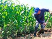 Unen esfuerzos en la Reactivación del Agro y Generación de Empleo en medio de la emergencia