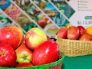 Lanzamiento del Procompite Regional 2020 con un presupuesto de 12 millones de soles