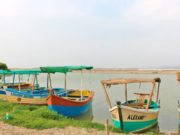 Albufera de Medio Mundo abre nuevamente sus puertas al turismo