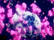 Conoce al Covid-19: Investigadores consiguen la primera imagen real en 3D del coronavirus