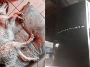 Joven vende su PlayStation para pagar la operación de su perrita atropellada