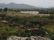 Caída de Huayco en Huayán amenaza con llevarse sembríos de pobladores