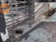 Detonan artefacto explosivo en restaurant Bolívar de Huacho