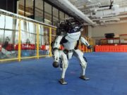 You Tube: Compañía decidió lanzar un llamativo video de sus robots bailando en las celebraciones de fin de año.
