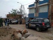AREQUIPA: Dos perros pitbulls atacan y matan a niño en Cerro Colorado
