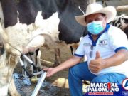 MARCIAL PALOMINO: “PRECIOS JUSTOS PARA NUESTROS PRODUCTOS NACIONALES”