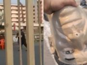 Malos hinchas de Sporting Cristal dañaron estatua de “lolo” Fernández ubicada en el estadio Monumental