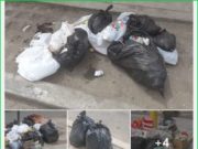 ¡Atención! Quemar la basura contamina más el medio ambiente