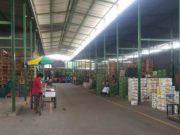 Comerciantes del mercado de frutas “El Palmo” preocupados al no poder vender sus productos