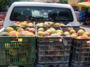Detienen a sujeto por robar presuntamente jabas de frutas en la Esperanza Alta