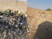 Vecinos denuncian acumulación de basura en la calle las rosas de los “Naturales”