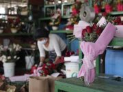Gobierno decreta inmovilización social estricta a nivel nacional el Día de la Madre