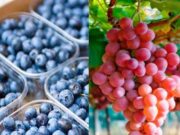 ¡Buena Noticia! Uvas y arándanos seguirán siendo el ‘boom’ en mercados globales este 2021