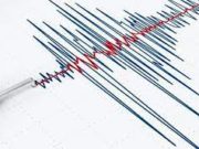 Se registró sismo en Huaral de 3.6 durante la madrugada ¿Lo sentiste?