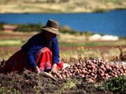 ¡Feliz Día Huaralino trabajador, agricultor y campesino! ¿Por qué se celebra este día?