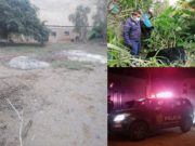 Delincuentes ingresaron a robar a varias casas de una familia en Pasamayo-Aucallama