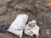 Personas sin corazón arrojaron a un pobre perrito dentro de un costal en Aucallama