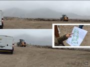 Reforestarán el triángulo de Pasamayo con el fin de embellecer Aucallama