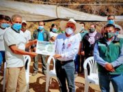 Productores de palta Hass podrán incrementar su producción gracias a Procompite