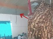 Chancay: Hombre se quitó la vida ahorcándose en su vivienda en Pampa Libre