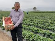 Agricultor Eusebio Salazar es el candidato con el N° 1 a la presidencia de la Junta de Usuarios