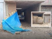 Sorprendido vecino encuentra vehículo robado dentro de su propiedad
