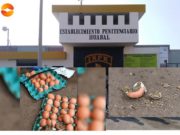 Hallan droga acondicionada dentro de huevos que iban a ser ingresados al penal de Aucallama