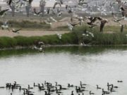 Regidora Yauri: Preocupa que autoridades no se identifiquen con nuestros ecosistemas