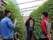 Jóvenes Aucallaminos desarrollan ingenioso proyecto hidropónico en Chacra y Mar
