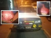 Capturan a 3 hombres a bordo de un auto con gran cantidad de palta robada en el sector de Pamparcayoc – Acos