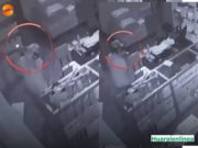 Delincuente robó productos de tienda agrícola en la calle derecha monto superaría los 3 mil soles
