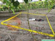 Mujer fue asesinada con un cable y cuerpo fue hallado en una chacra en Supe