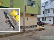 Ciudadana denunció que dos de sus perritos fueron envenenados y arrojados a la basura