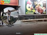 Joven fue asesinada de varios balazos en plena serenata por aniversario de Huacho