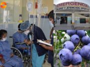 Huacho : trabajadores terminan intoxicados tras fumigación de arándanos en Guayabal