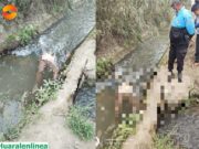 Hallan cadáver de hombre en canal de regadío en el AA.HH Señor de los Milagros en Aucallama