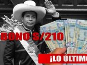 Bono 210: ¿Qué condiciones deben cumplir los trabajadores del Estado para recibir nuevo subsidio?