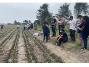 Barranca: Hallan cuerpo de joven con varios impactos de bala en una chacra en el sector Potao
