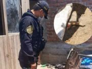 Hallan dedo cercenado de una mujer en una vivienda en Chancay